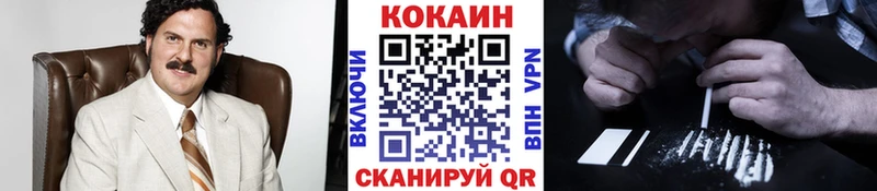 COCAIN Fish Scale  Купить закладки  Поронайск 