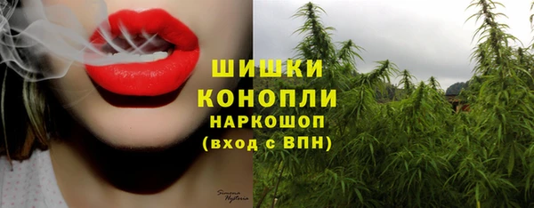 PSILOCYBIN Балахна