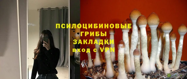 PSILOCYBIN Балахна