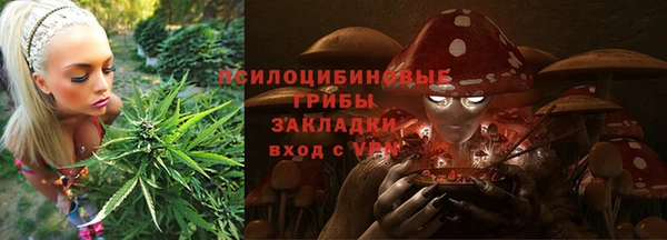 бутират Баксан