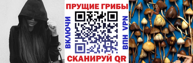 Купить где  Поронайск  Псилоцибиновые грибы мухоморы 