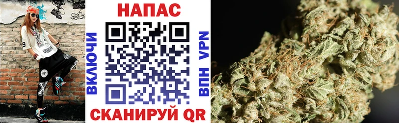 Купить где  Поронайск  МАРИХУАНА планчик 